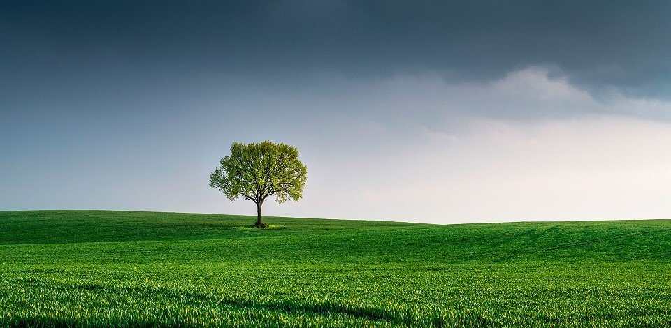 India Proposes Amendments to Ecomark Rules