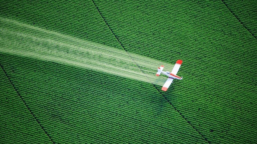 Taiwan will bring forward the date of ban on the use of chlorpyrifos in environmental agents