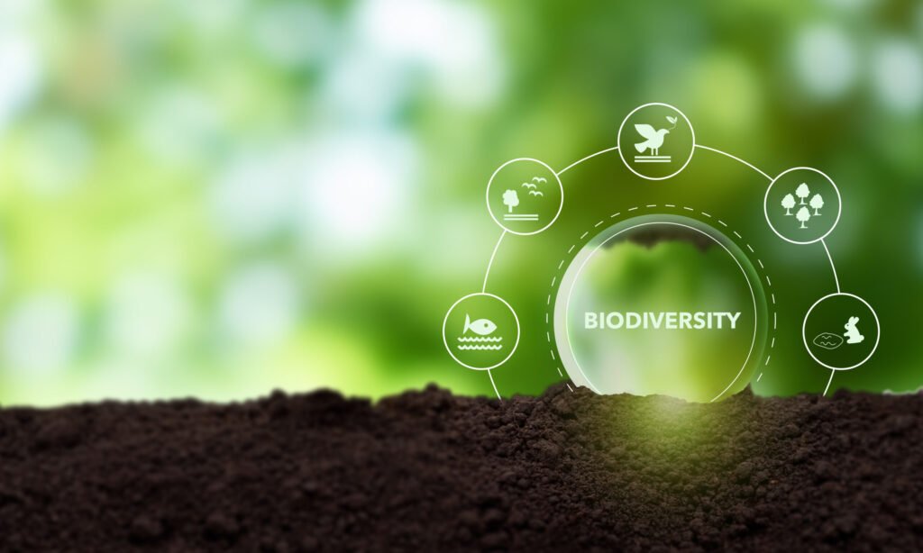 WBCSD Calls for an Integrated Climate–Nature–Society Approach to Unlock Business Value